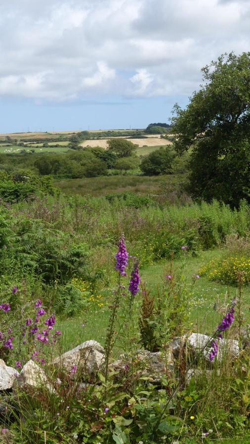 Higher Trenear Farm B&B Helston Exterior foto